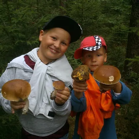Tokan 3* Chřibská